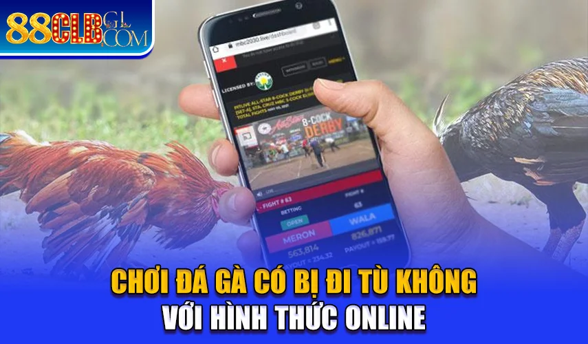 Chơi đá gà có bị đi tù không với hình thức online