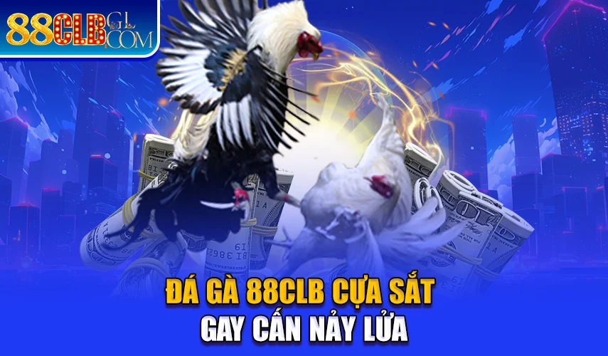 Đá gà 88clb cựa sắt gay cấn nảy lửa