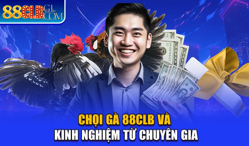 Chọi gà 88CLB và kinh nghiệm từ chuyên gia