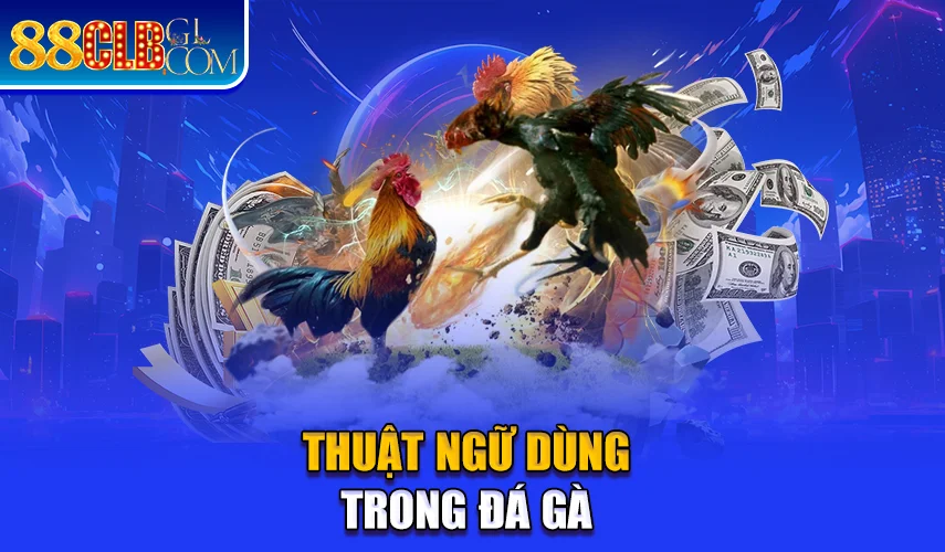 Thuật ngữ dùng trong đá gà