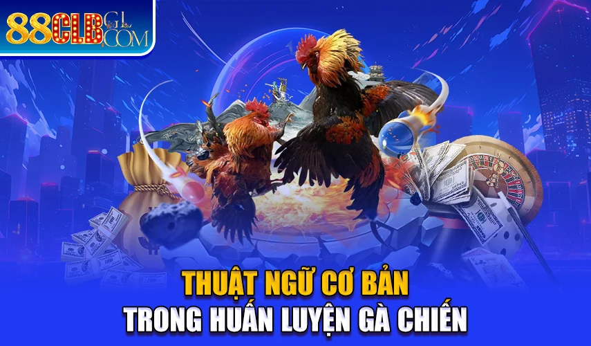 Thuật ngữ cơ bản trong huấn luyện gà chiến