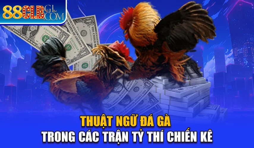 Thuật ngữ đá gà trong các trận tỷ thí chiến kê