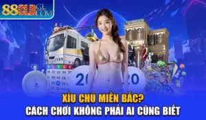 Xỉu Chủ Miền Bắc - Cách Chơi Không Phải Ai Cũng Biết Xỉu Chủ Miền Bắc? - Cách Chơi Không Phải Ai Cũng Biết