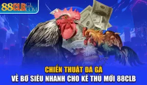 Chiến Thuật Đá Gà - Về Bờ Siêu Nhanh Cho Kê Thủ Mới 88CLB